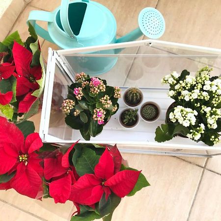 Koukaki Cozy Apartment Athens Ngoại thất bức ảnh